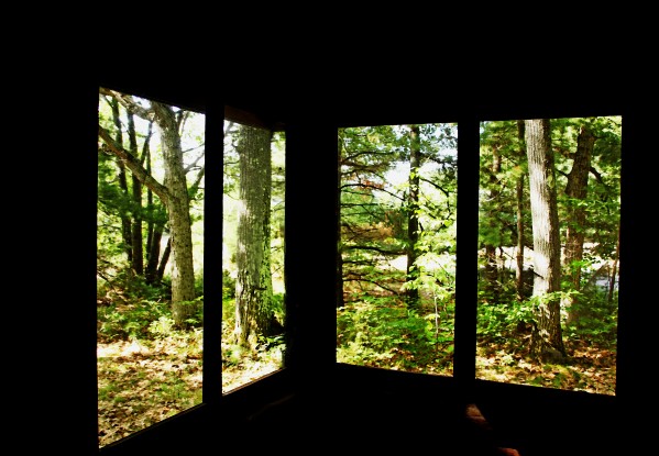 Nature Framed by Deb Oppermann